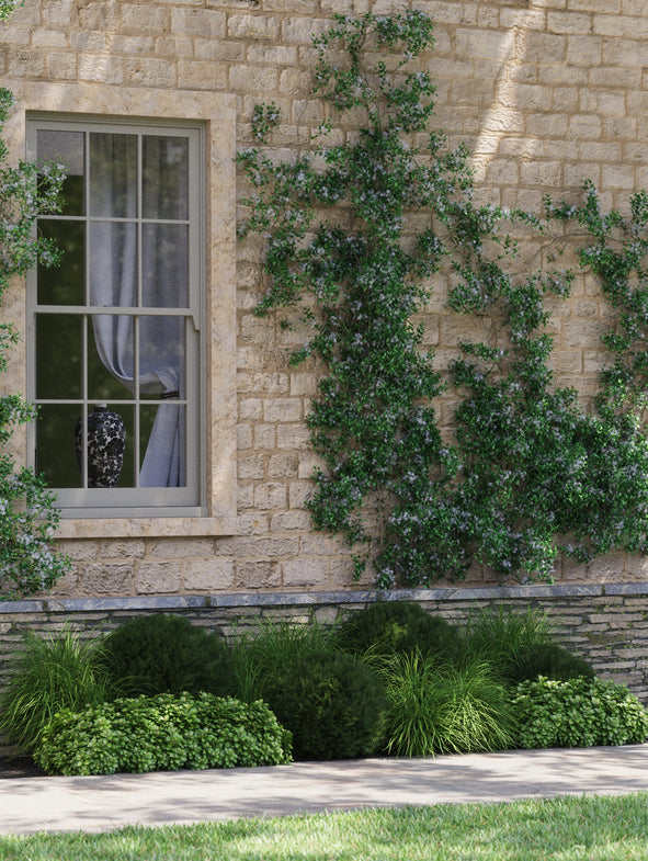 Soto Evergreen - Shade - Wide